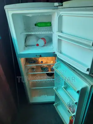 Singer Fridge
