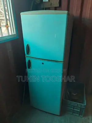 Singer Fridge