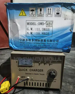 Mishuk Auto 48 Volt Acid 4 Battery Charger