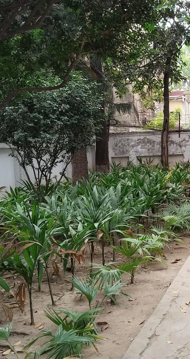 গুলশান ১-এ জমি বিক্রয়
