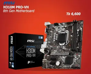 MSI H310M PRO Series (e.g., PRO‑VH / PRO‑VDH 1 Year Warranty