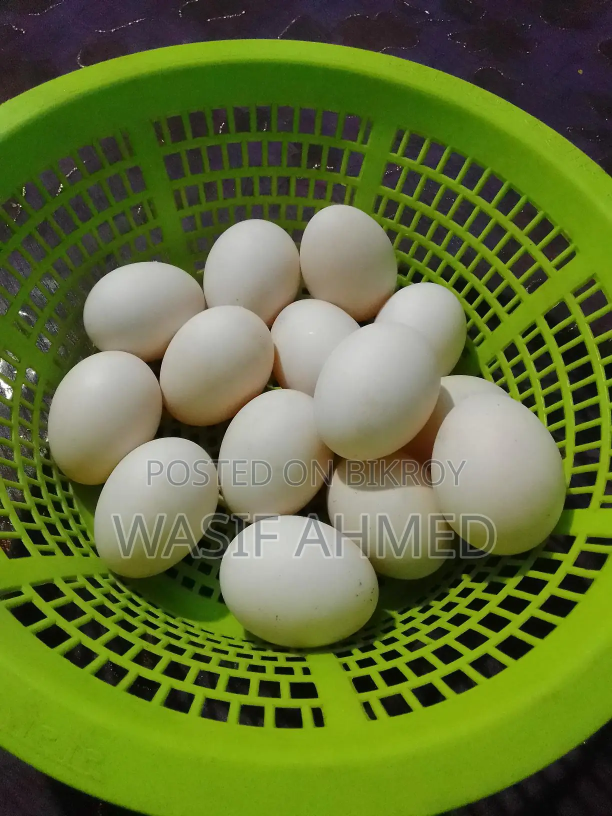 Muscovy Duck Hatching Eggs