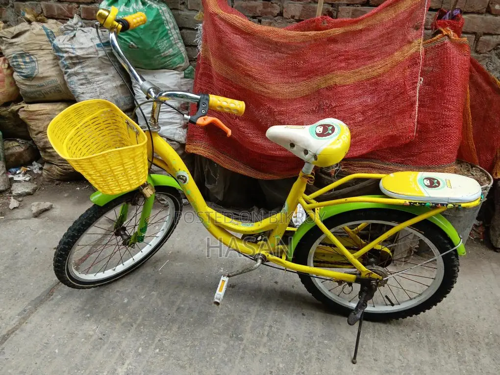 Phoenix Bicycle 20" Fully Fresh Condition