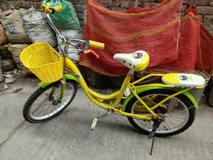Phoenix Bicycle 20" Fully Fresh Condition