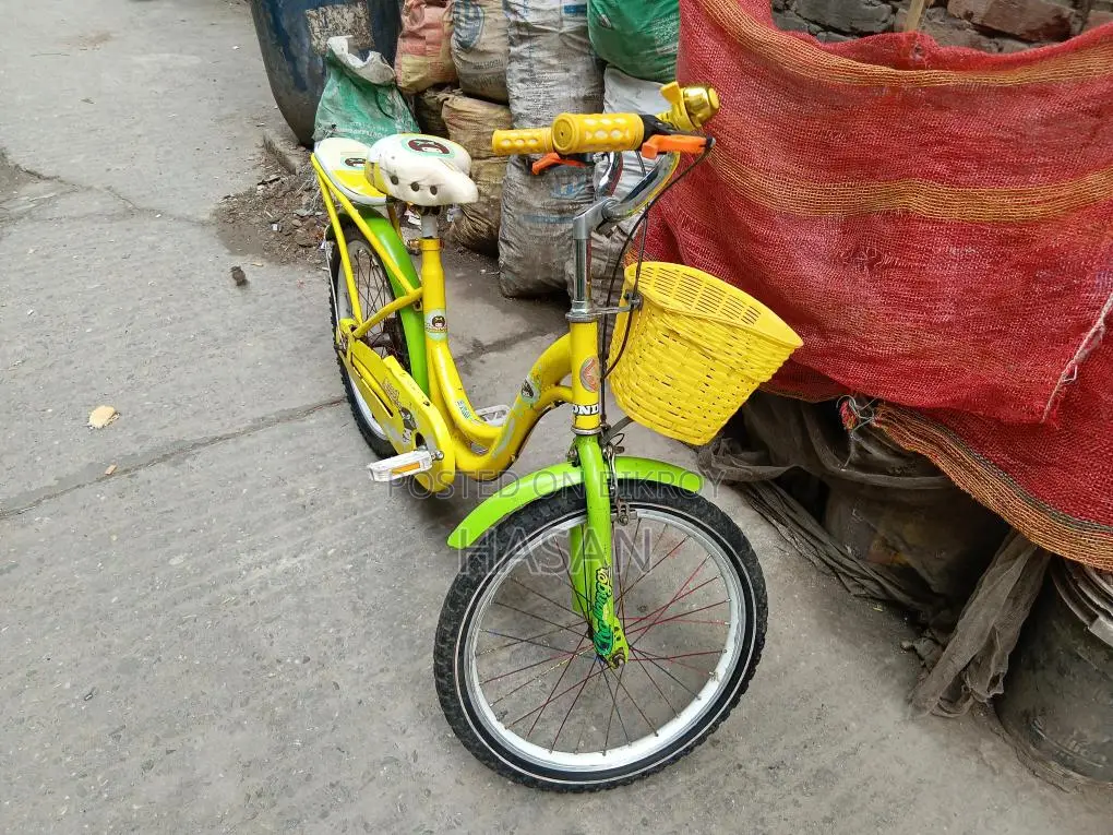 Phoenix Bicycle 20" Fully Fresh Condition