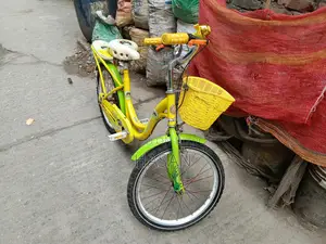 Phoenix Bicycle 20" Fully Fresh Condition