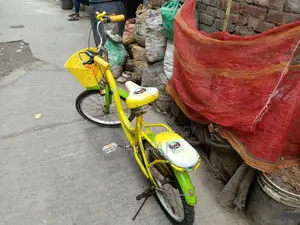 Phoenix Bicycle 20" Fully Fresh Condition