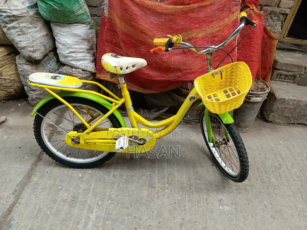 Phoenix Bicycle 20" Fully Fresh Condition
