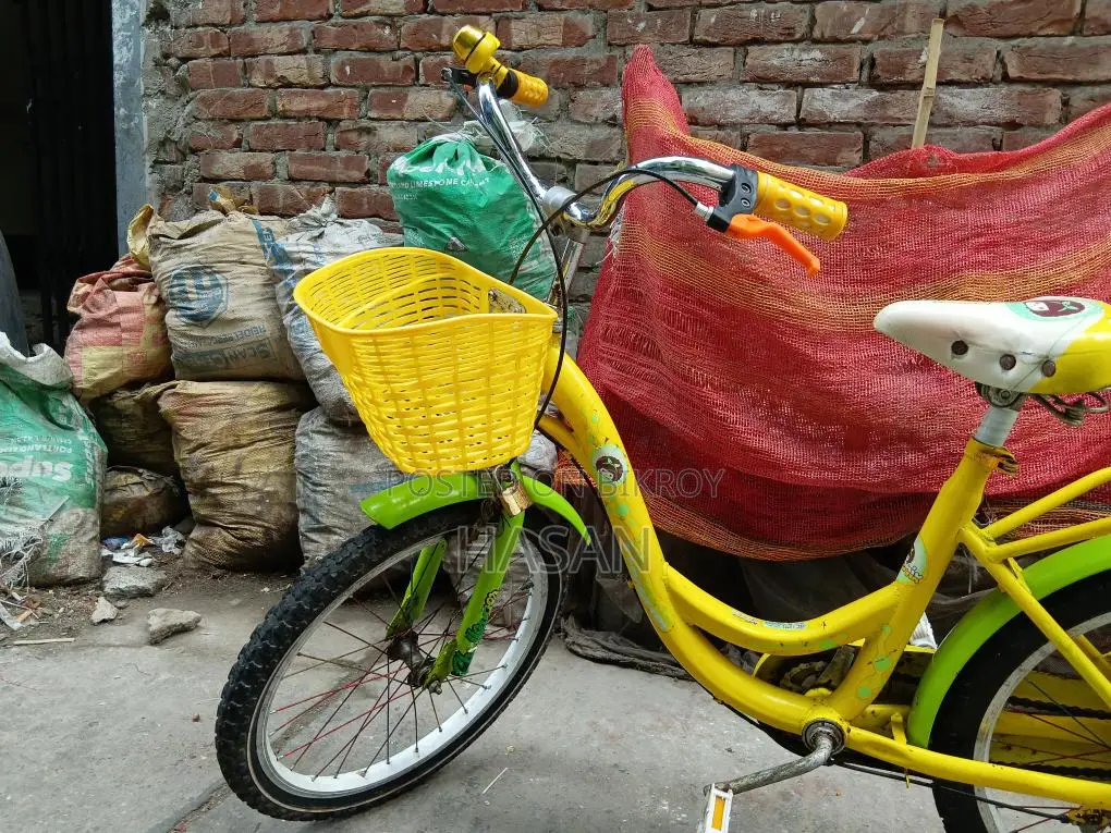Phoenix Bicycle 20" Fully Fresh Condition