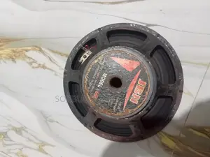 10 Inch Speaker