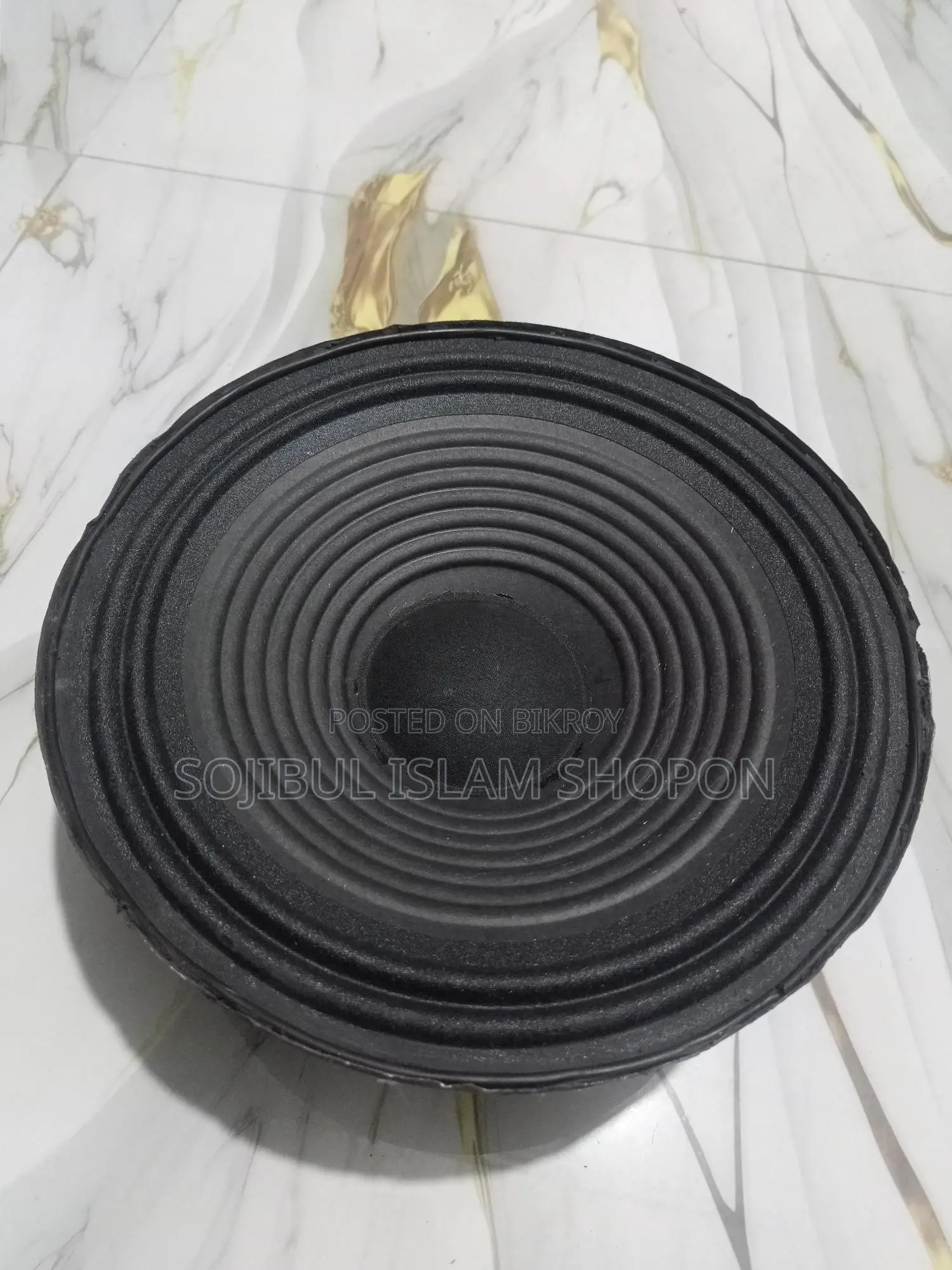10 Inch Speaker
