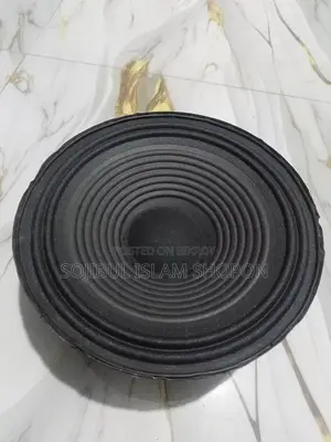 10 Inch Speaker