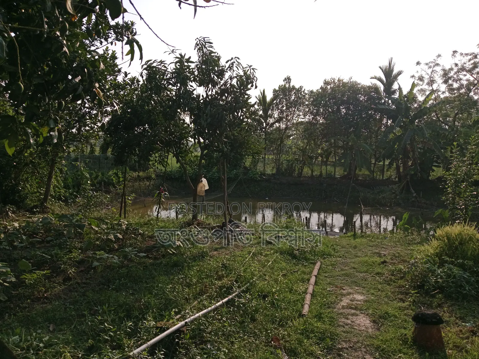 House for sale with land