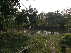 House for sale with land