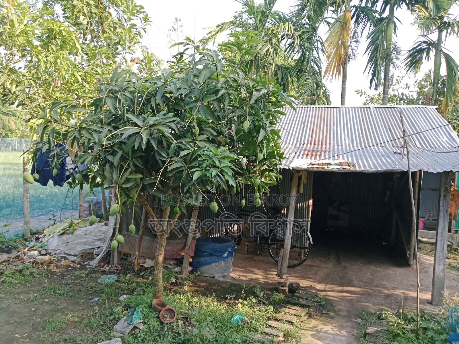 House for sale with land