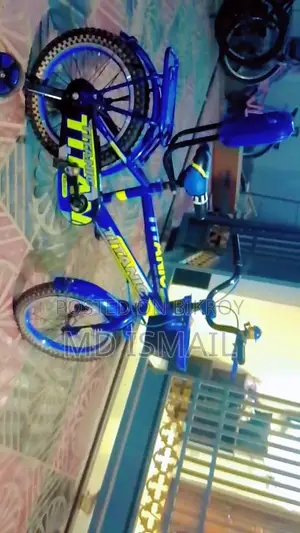 বাইসাইকেল