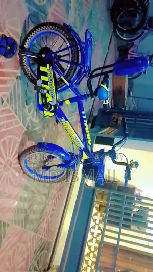 বাইসাইকেল