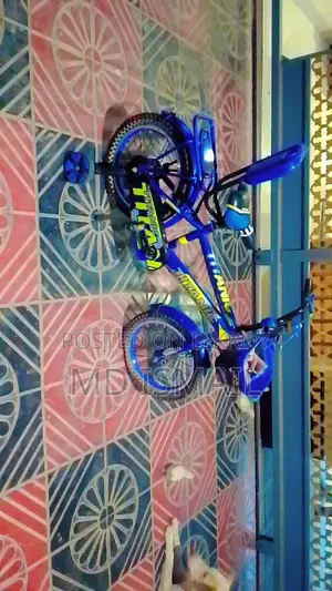 বাইসাইকেল