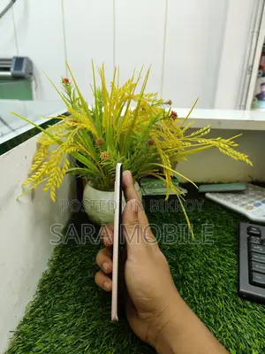 Xiaomi Civi 1 (Used)