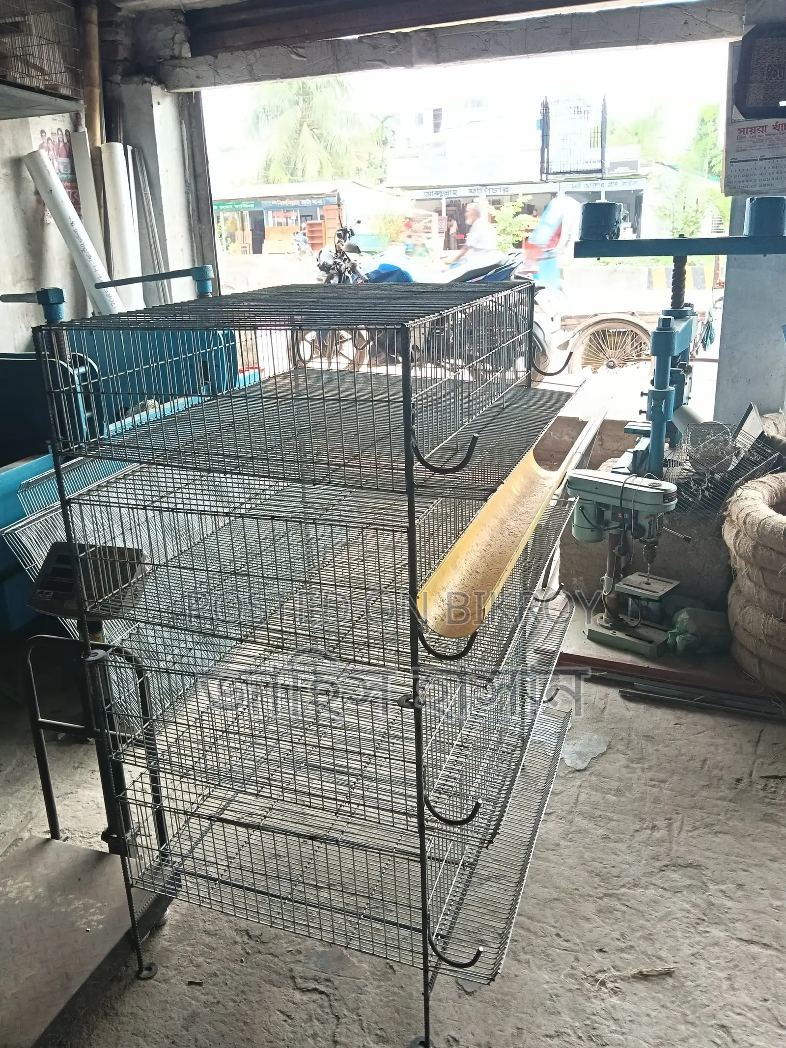 Full fresh 200 quail bird cages for sale