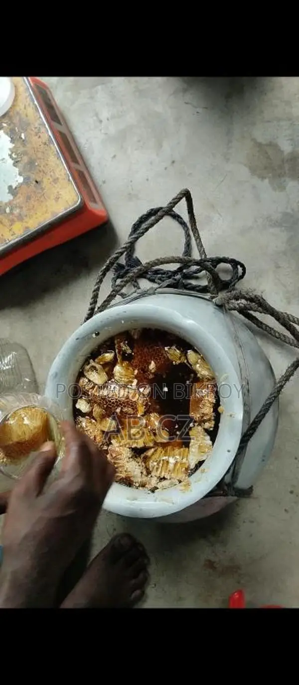 Pure Honey from Beehives