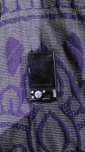 Sony Camera And Charger