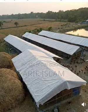 জিও সিট