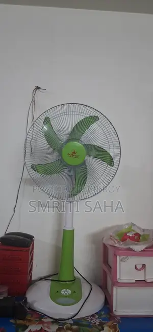 একদম ভালো একটি ফ্যান।