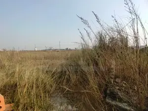 3 katha plot for sale in N block, Bashundhara residential area