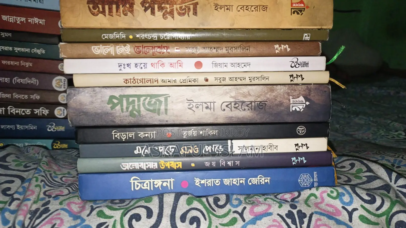 38 Novels and Poetry Books