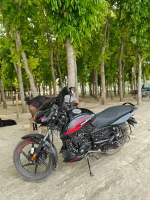 Bajaj Pulsar 150 - 2025