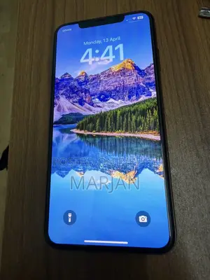 Apple iPhone XS Max 512GB (Used)