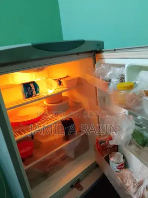LG Fridge only