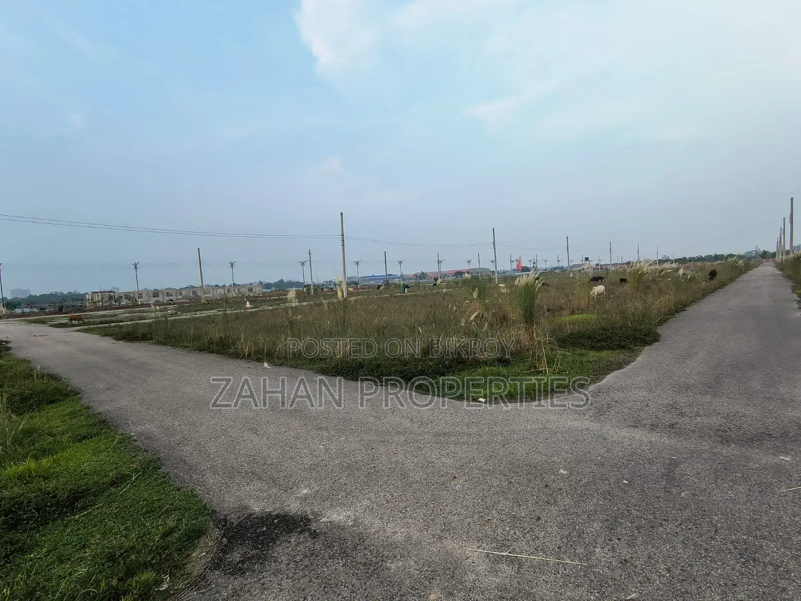 এন-এক্সট ব্লক ৫ কাঠা দক্ষিণমুখী প্লট বিক্রয়