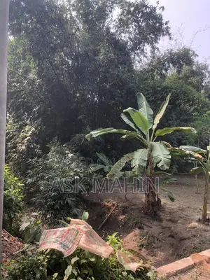 3 Katha Land for Sale Adjacent to 40ft Government Road