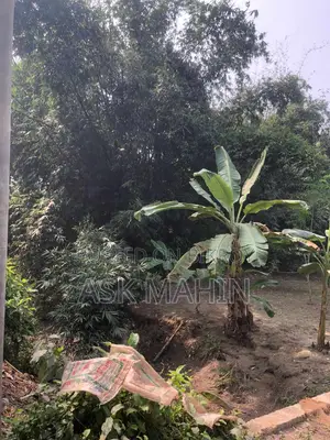 3 Katha Land for Sale Adjacent to 40ft Government Road