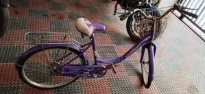 Stylish "frozen Queen" Ladies Bicycle – Excellent Condition