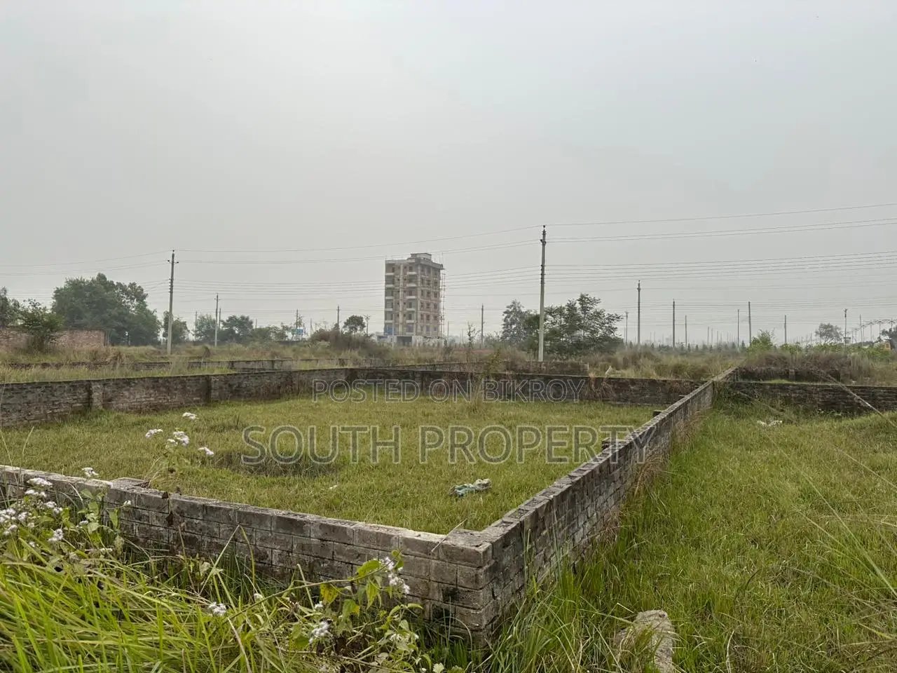 3 Katha plot sale bosundara p black