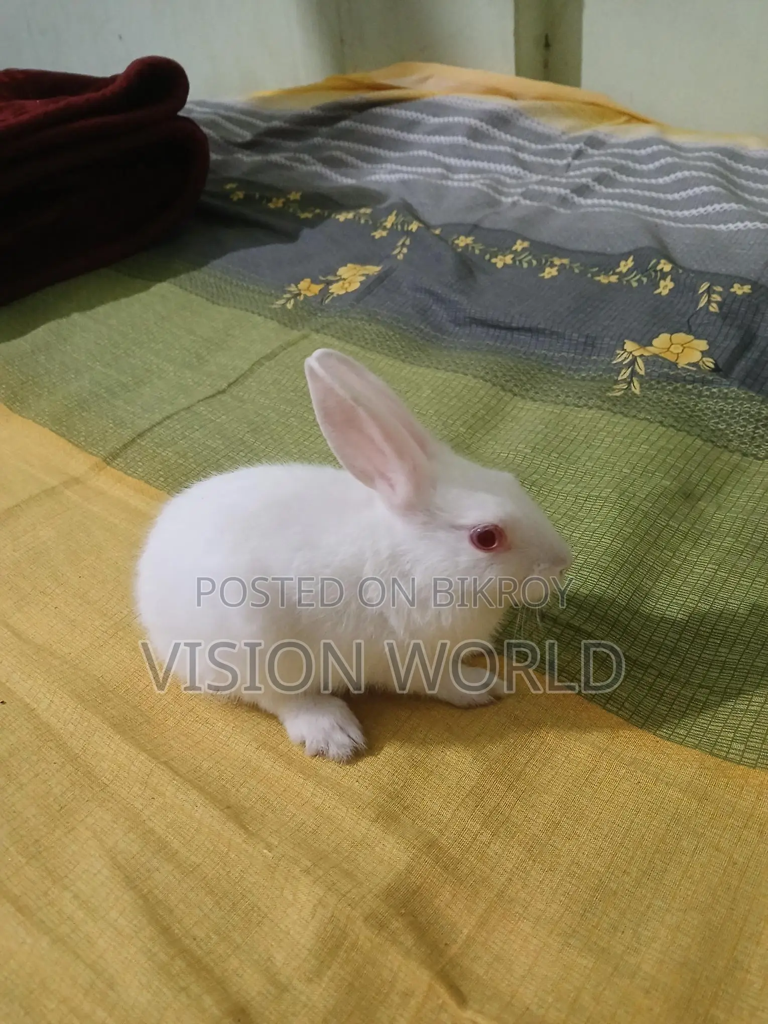 One 2-month-old baby