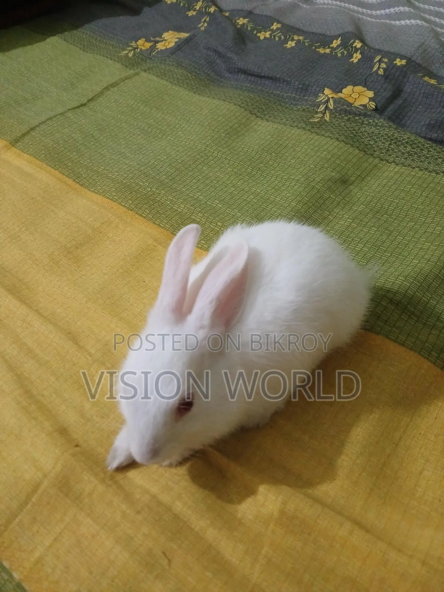 One 2-month-old baby