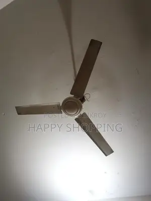 Used Fan (Fresh Condition)