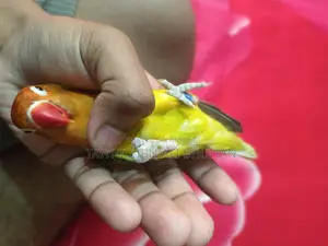 Love Bird