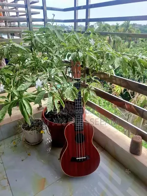Ukulele Guitar