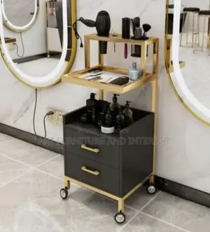 Beauty Parlor & Salon Multiple Drawer Self - 01