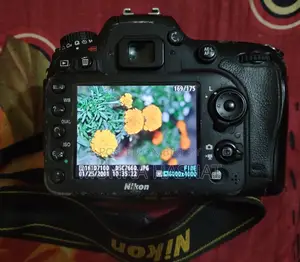 Nikon D7100 (Fresh Condition)