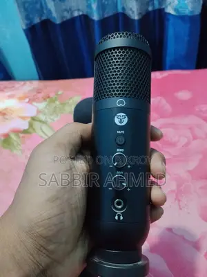 Professional Condenser Microphone for Sale