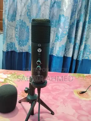 Professional Condenser Microphone for Sale