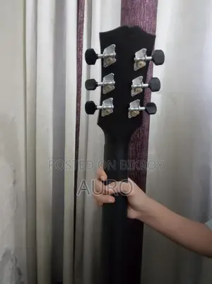 Insha Guitar No Problem, Fresh