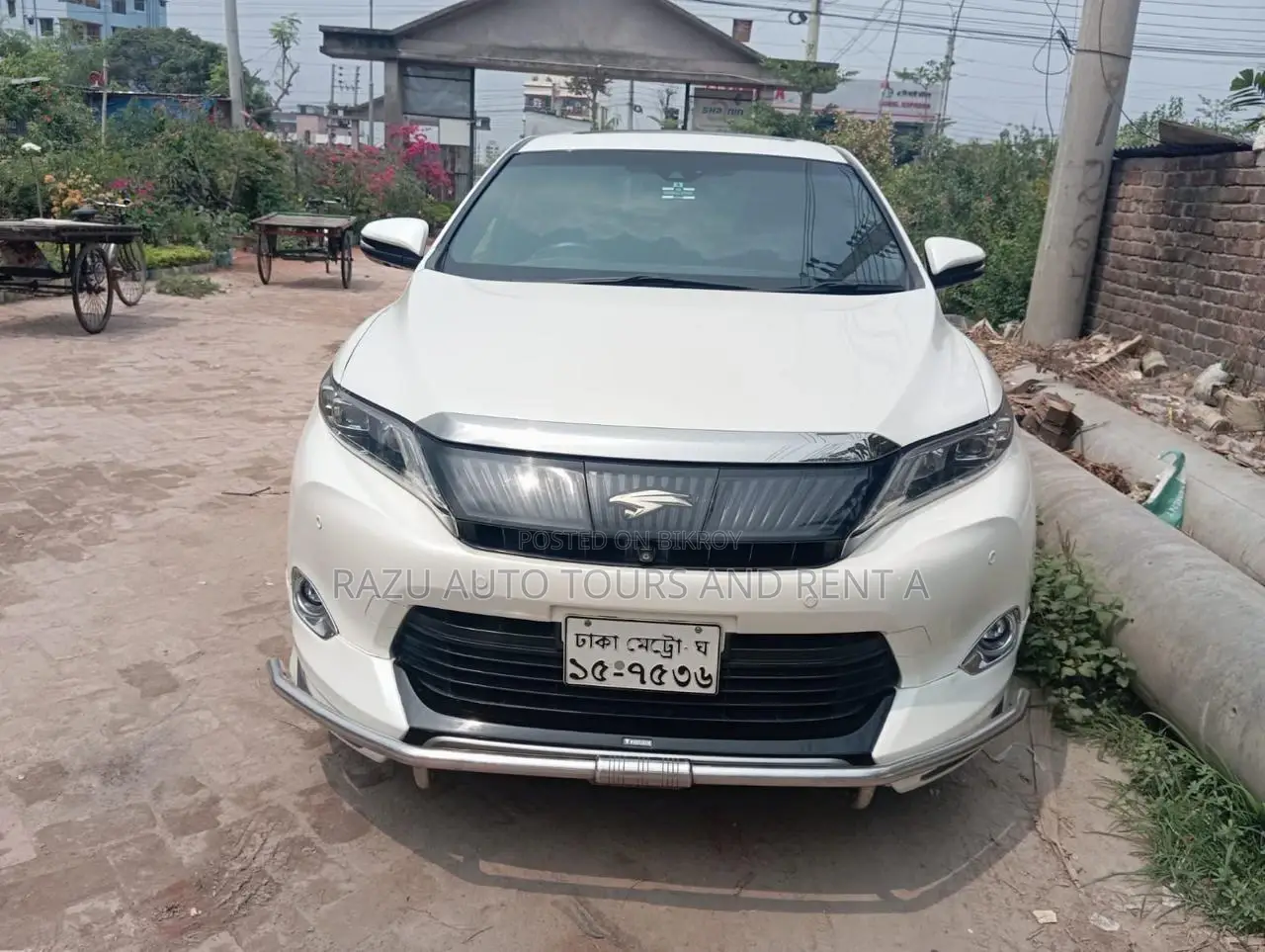 Harrier For Rent