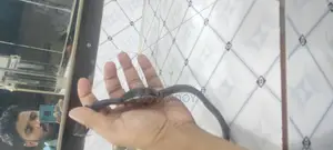 Fossil Watch